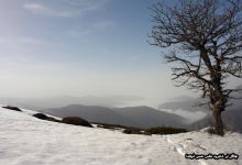 گزارش تصویری  از اولین برف جنگل ابر